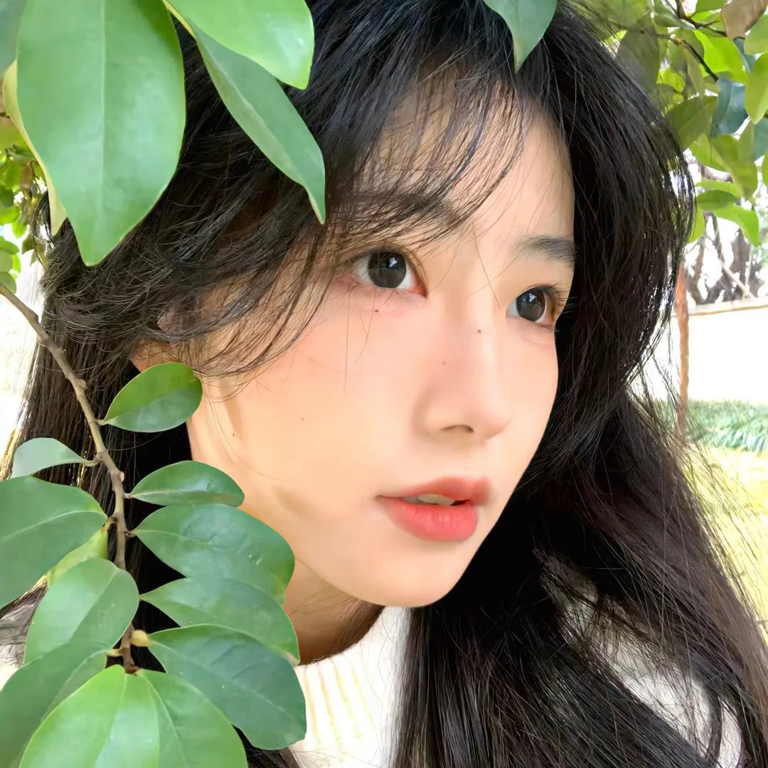我甜蜜的辣椒国